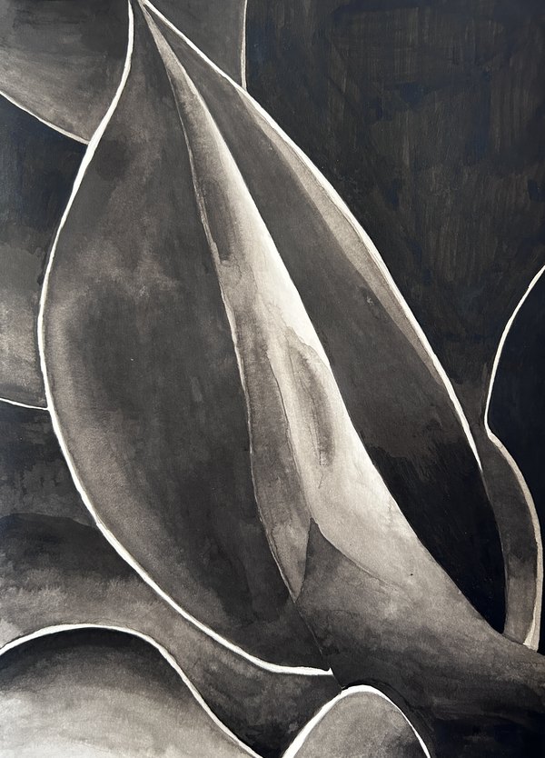 Monochrome painting of agave leaves, study two
